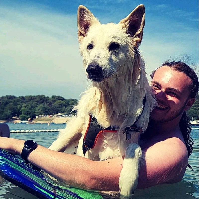 Nuallan - Mood360 Developer